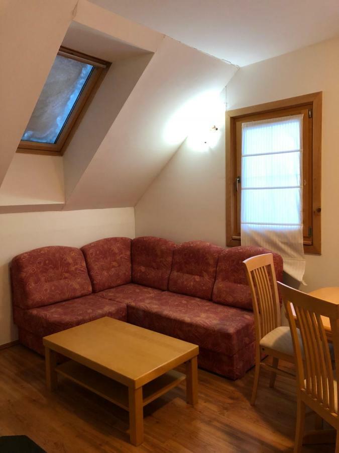 Apartmaji Zlata Lisicka Церкно Экстерьер фото